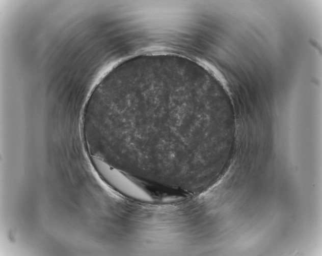 X0000094961429200712201149