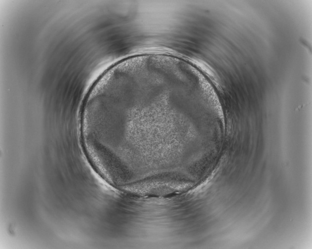 X0000094961430200712201149