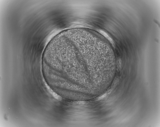 X0000094961431200712201149