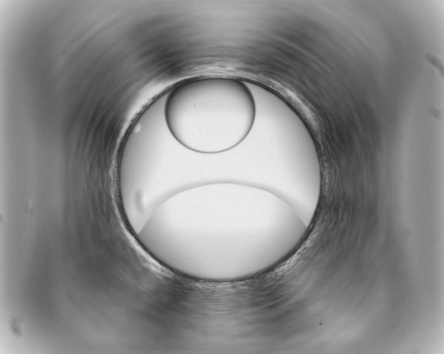 X0000094961432200712201150