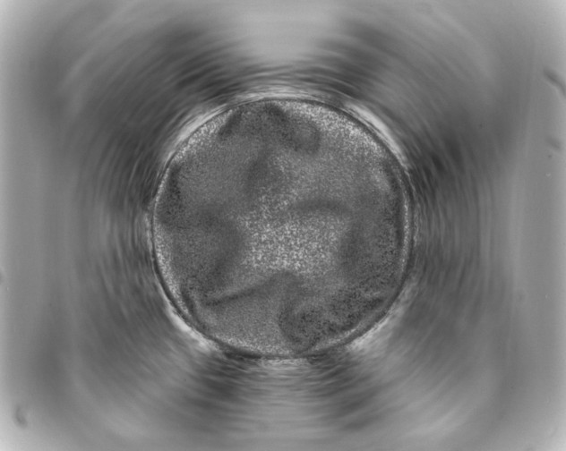 X0000094961433200712201150