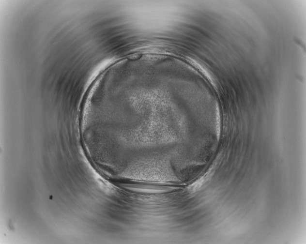 X0000094961434200712201150