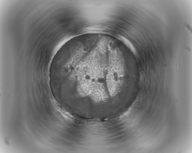 X0000094961435200712201150