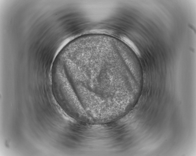 X0000094961436200712201150