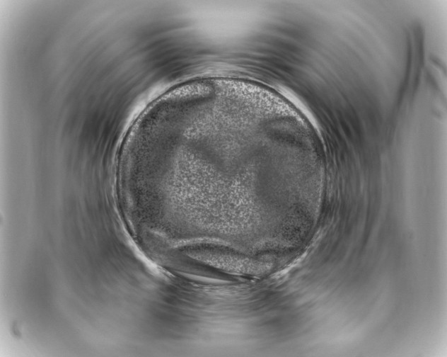 X0000094961437200712201150