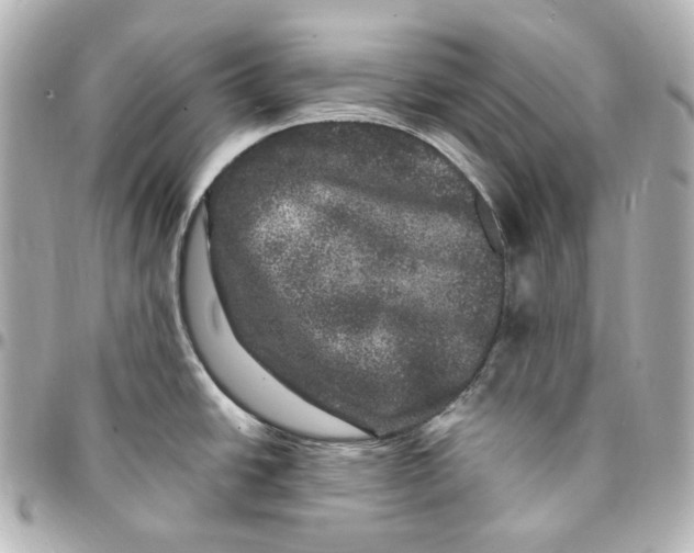 X0000094961438200712201150