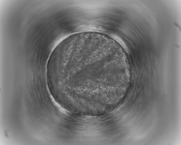 X0000094961439200712201150