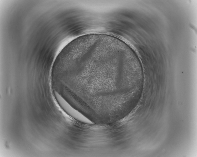 X0000094961440200712201150