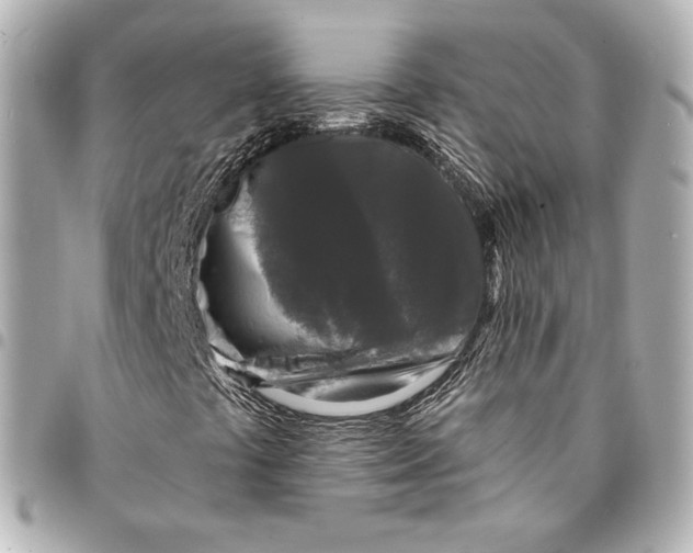 X0000094961441200712201149