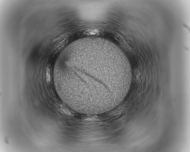 X0000094961442200712201149