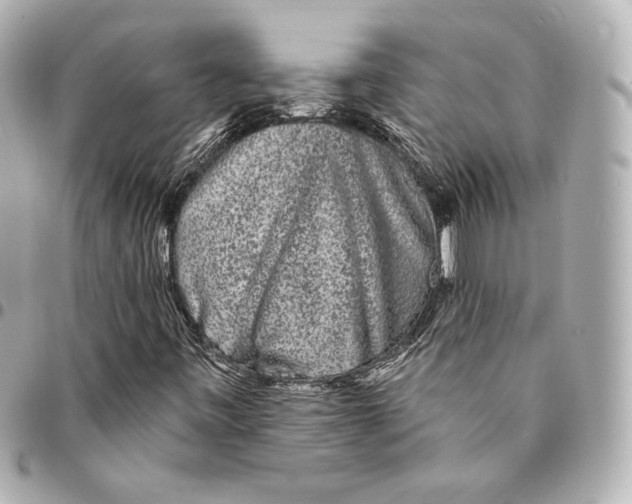 X0000094961443200712201149