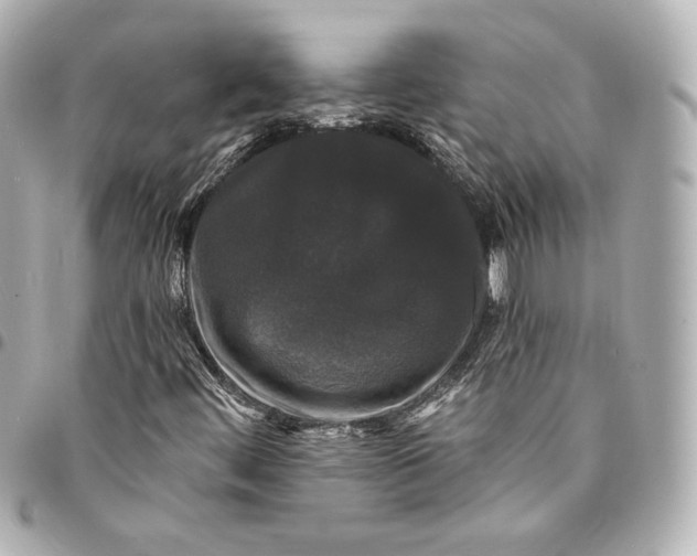 X0000094961444200712201149