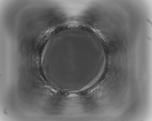 X0000094961445200712201149