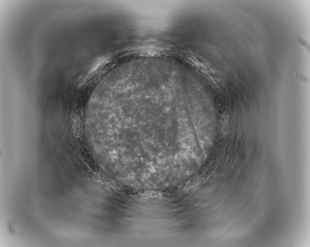 X0000094961446200712201149