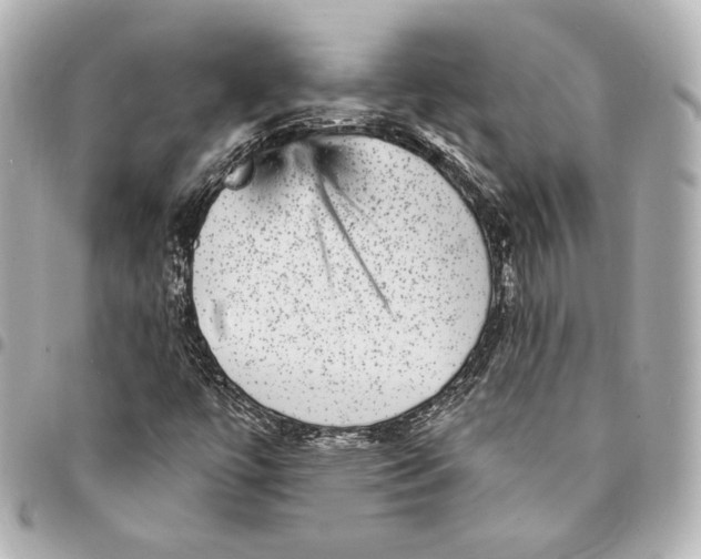 X0000094961447200712201149