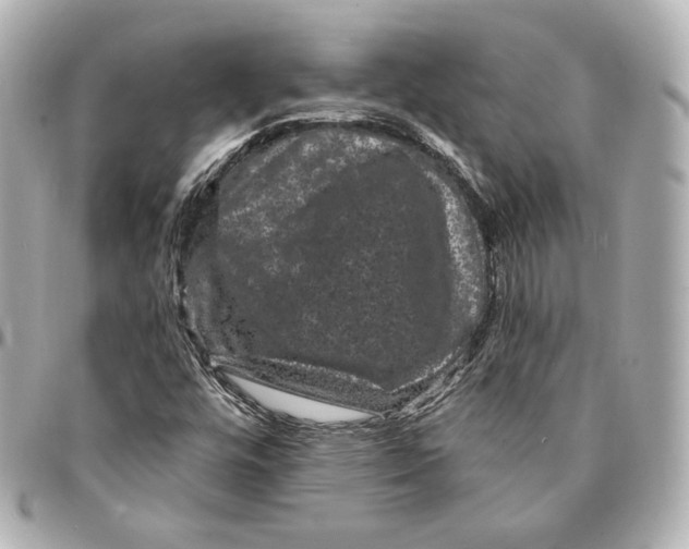 X0000094961448200712201149