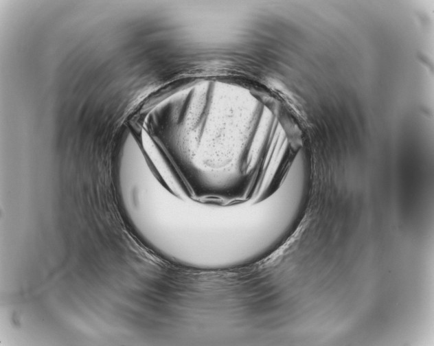 X0000094961449200712201149