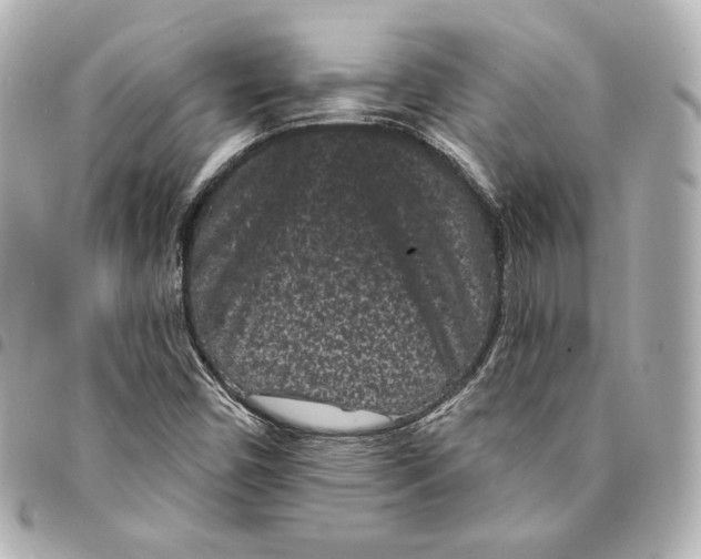 X0000094961450200712201149