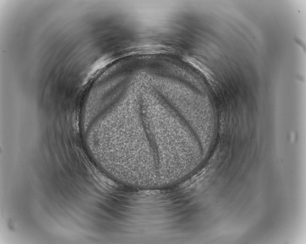 X0000094961451200712201149