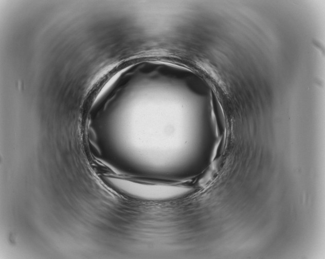 X0000094961452200712201149