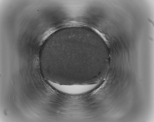 X0000094961453200712201149