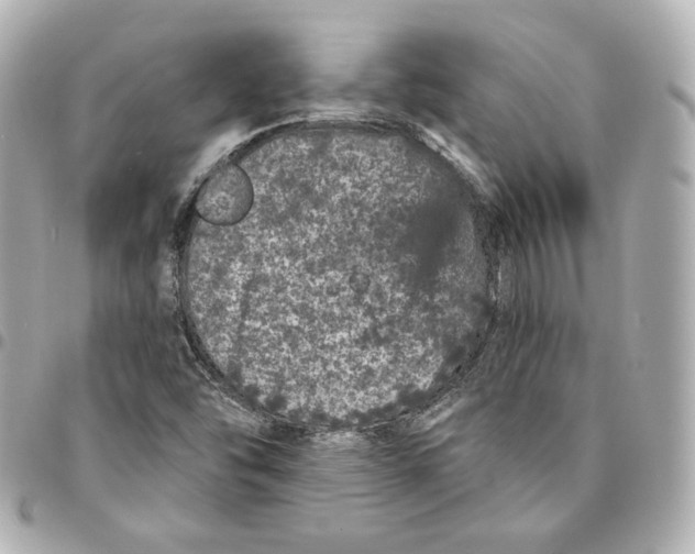 X0000094961454200712201149