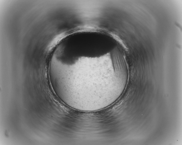 X0000094961455200712201149