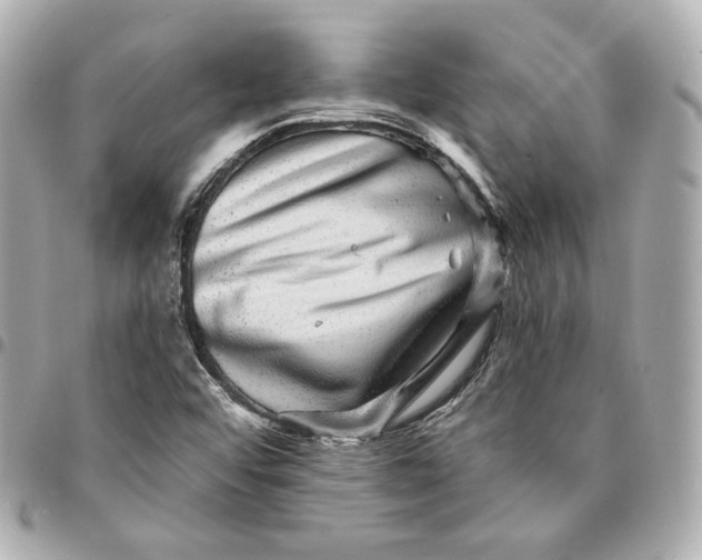 X0000094961456200712201149