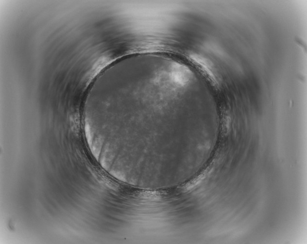 X0000094961457200712201149