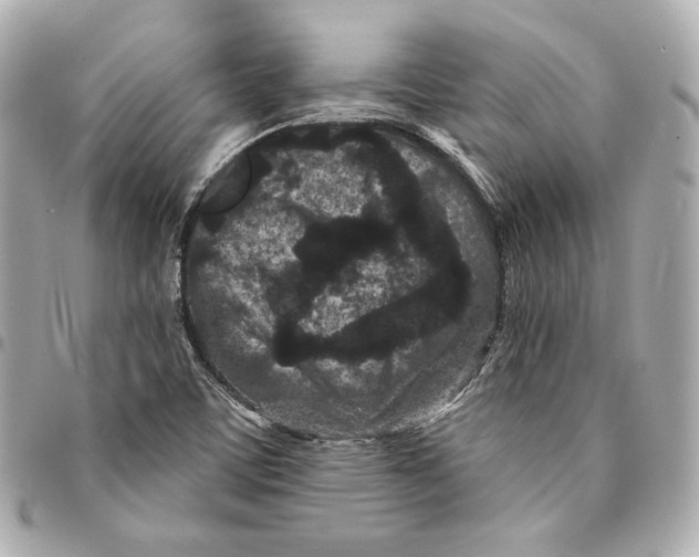 X0000094961459200712201149