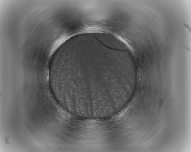 X0000094961461200712201149