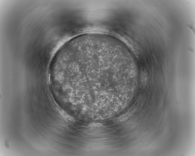 X0000094961462200712201149