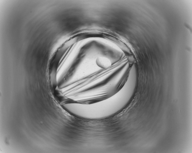 X0000094961464200712201149