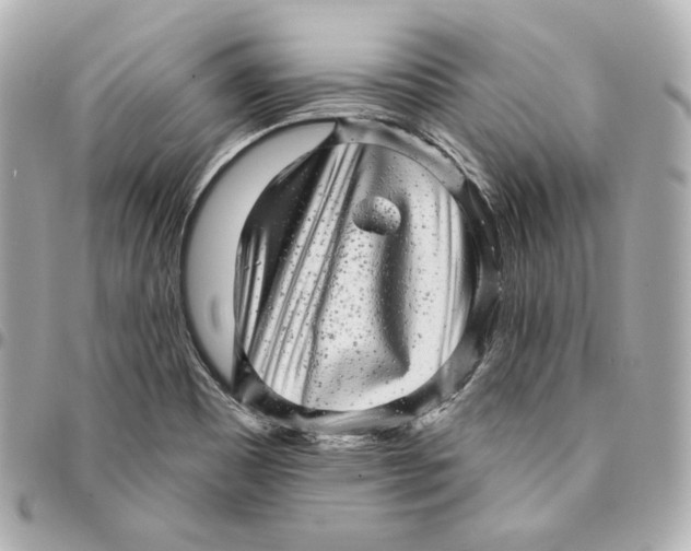 X0000094961465200712201149