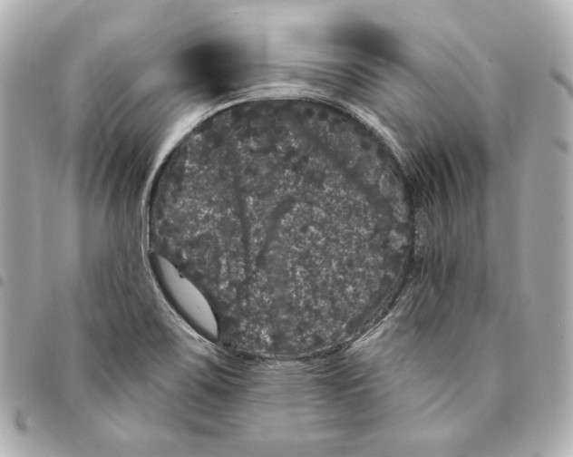 X0000094961467200712201149