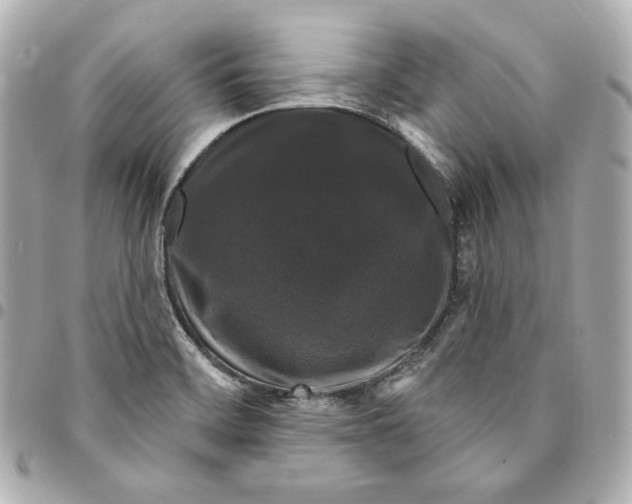 X0000094961468200712201149