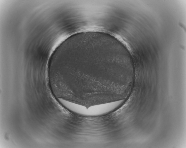 X0000094961469200712201149