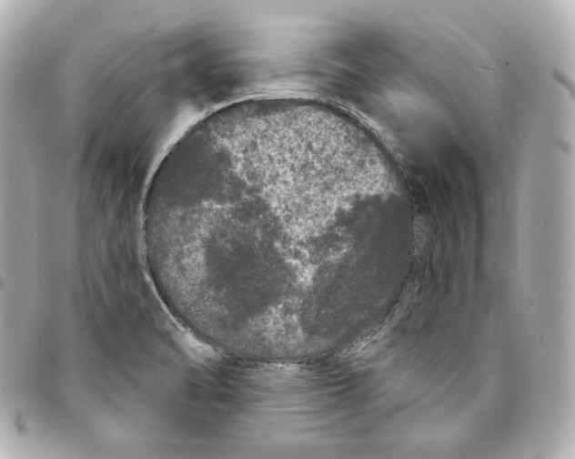 X0000094961470200712201149