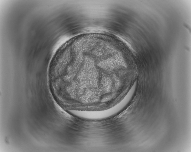 X0000094961471200712201149