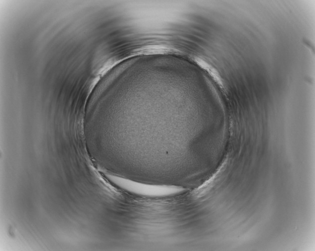 X0000094961473200712201149