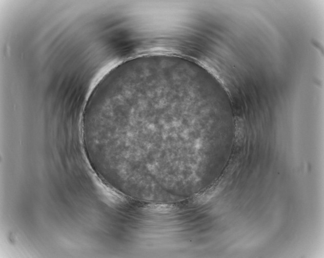 X0000094961474200712201148