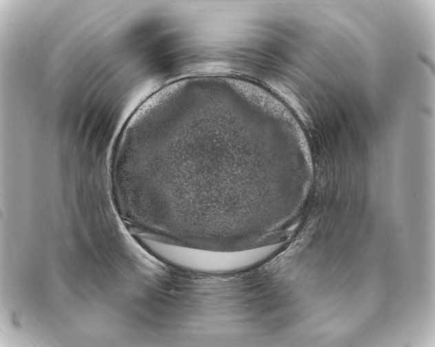 X0000094961475200712201148