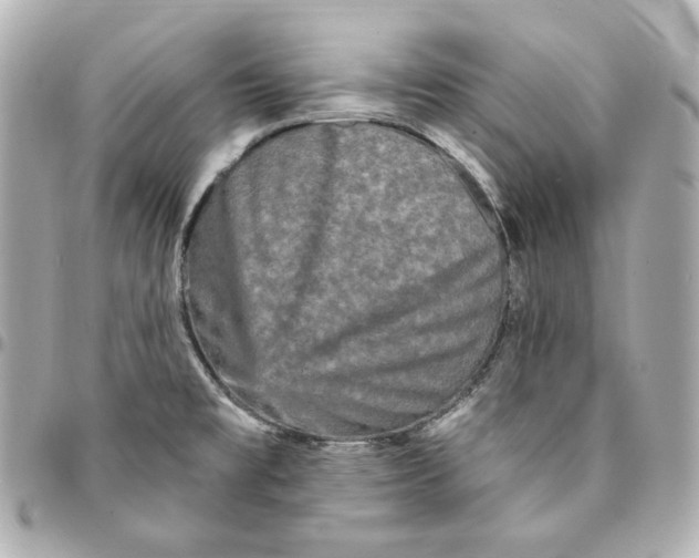 X0000094961477200712201148