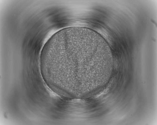 X0000094961478200712201148