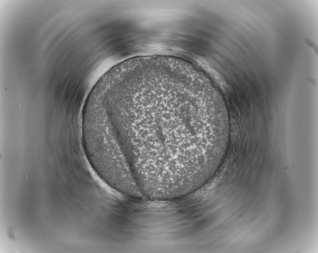 X0000094961479200712201148