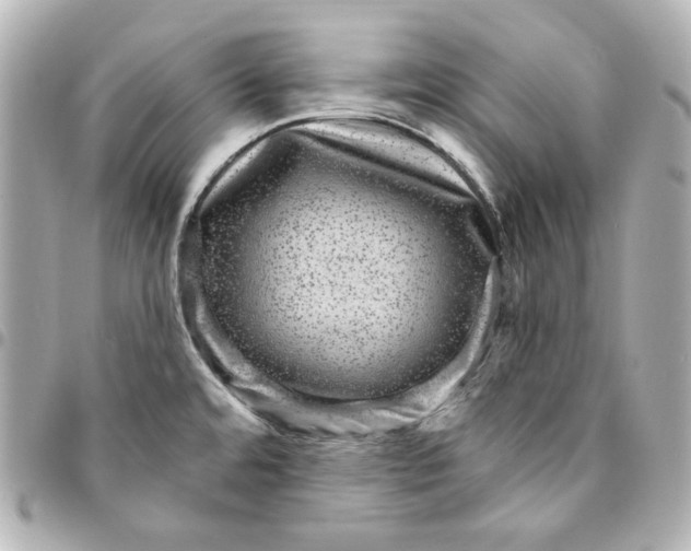 X0000094961480200712201148