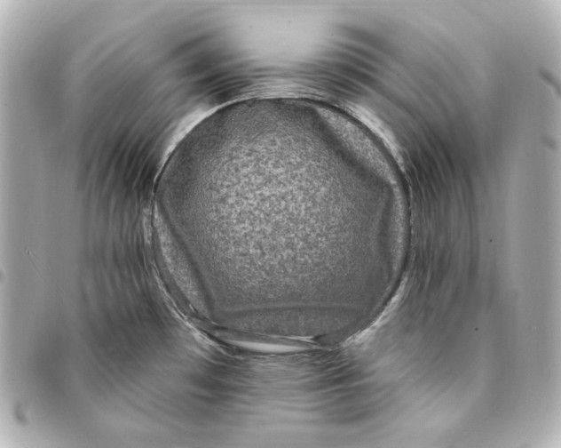 X0000094961481200712201148