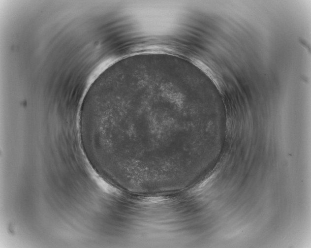 X0000094961482200712201148