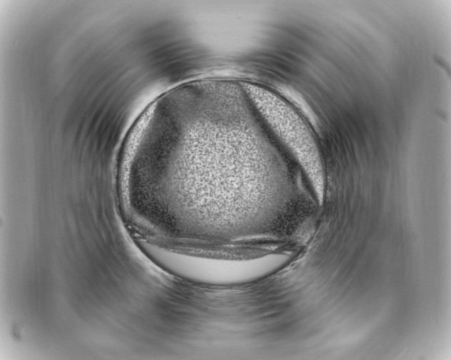 X0000094961483200712201148