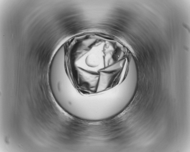 X0000094961484200712201148